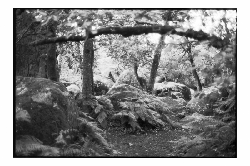 846-Fontainebleau-09