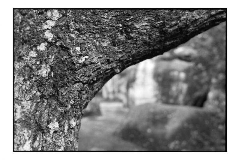 856-Fontainebleau-19